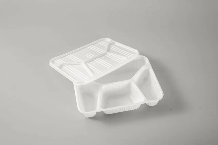 disposable plates and cutlery