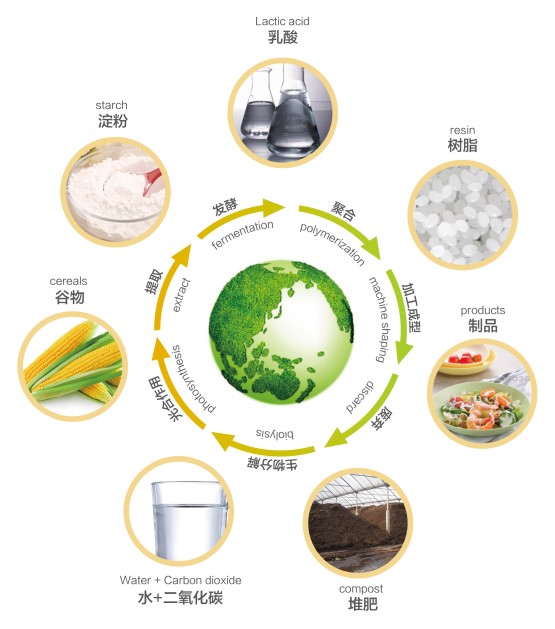 green Life cup lid