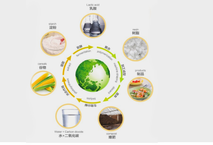Why is PLA biodegradable material becoming more and more popular?