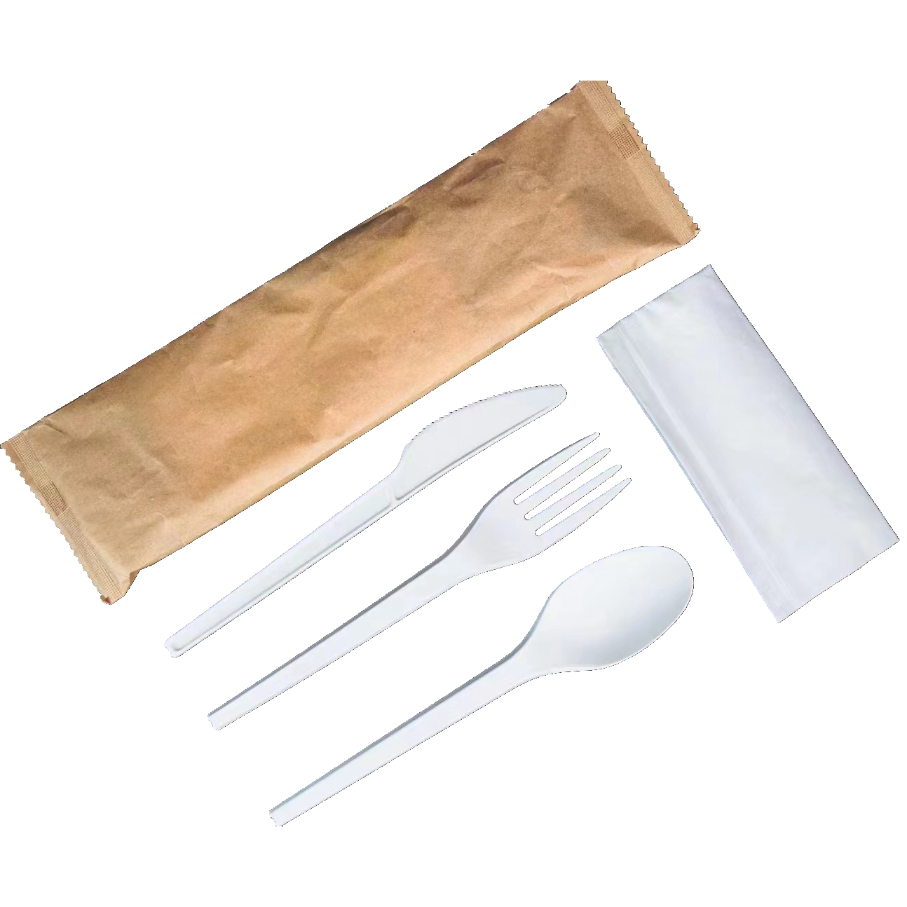 premium disposable dinnerware