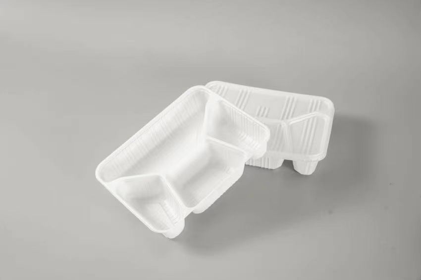 disposable plates and cutlery